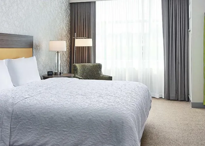 One-Bedroom King Suite